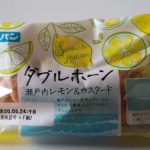 ダブルホーン-瀬戸内レモン&カスタード